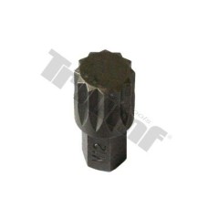 Bity XZN i TORX M 12 Bity XZN i TORX M 12