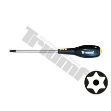 Śrubokręt warsztatowy torx bez wiercenia, T 25 x 100 mm xxx Śrubokręt warsztatowy torx bez wiercenia, T 25 x 100 mm xxx