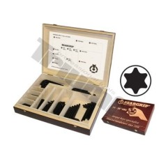 Drevená prezentačná kazeta TORX Drevená prezentačná kazeta TORX