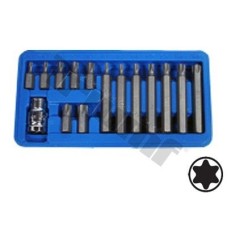 Zestaw bitów Torx, 15 - części Zestaw bitów Torx, 15 - części